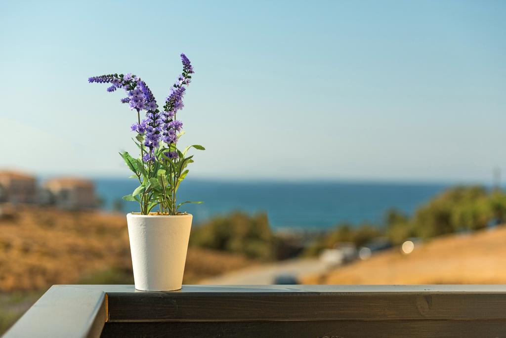 Lygaries Villas Pánormos Стая снимка